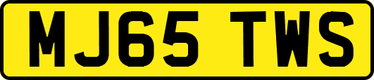 MJ65TWS