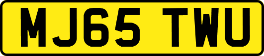 MJ65TWU