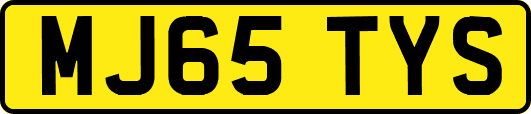 MJ65TYS