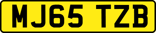 MJ65TZB