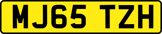 MJ65TZH