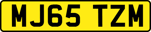 MJ65TZM