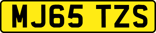 MJ65TZS