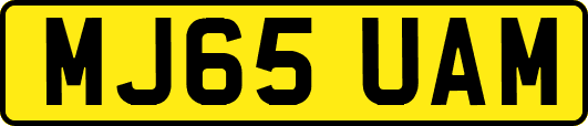 MJ65UAM