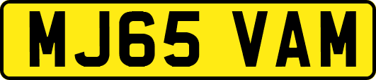 MJ65VAM