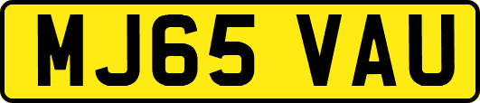 MJ65VAU