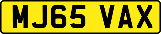 MJ65VAX