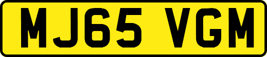 MJ65VGM