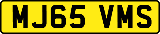 MJ65VMS