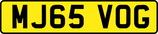 MJ65VOG