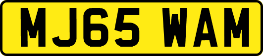 MJ65WAM