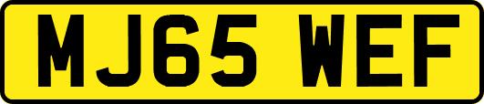 MJ65WEF