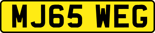 MJ65WEG