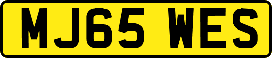 MJ65WES