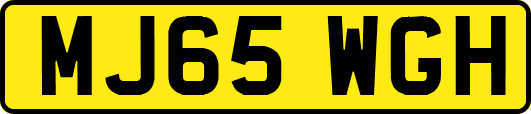 MJ65WGH