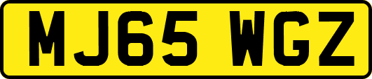 MJ65WGZ