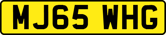 MJ65WHG