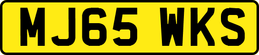 MJ65WKS