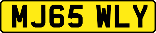 MJ65WLY
