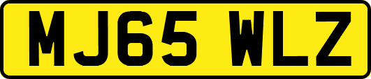 MJ65WLZ
