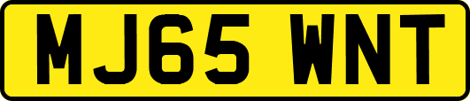 MJ65WNT