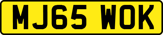 MJ65WOK
