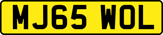 MJ65WOL