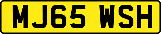 MJ65WSH