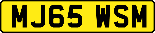 MJ65WSM