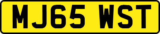 MJ65WST