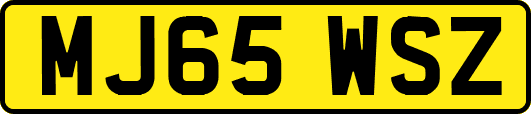 MJ65WSZ
