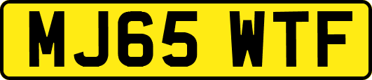 MJ65WTF