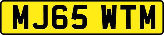 MJ65WTM