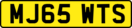 MJ65WTS