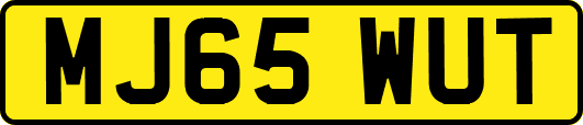 MJ65WUT
