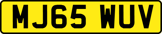 MJ65WUV