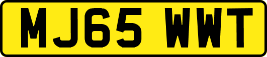 MJ65WWT