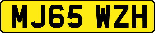 MJ65WZH