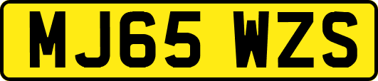 MJ65WZS