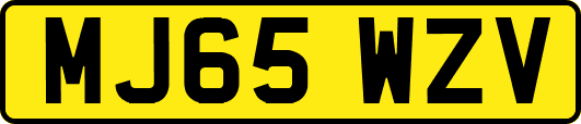 MJ65WZV