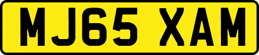 MJ65XAM