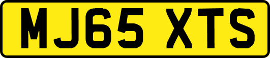 MJ65XTS