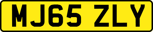 MJ65ZLY