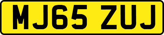 MJ65ZUJ