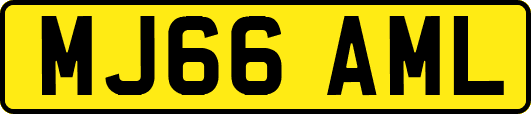 MJ66AML