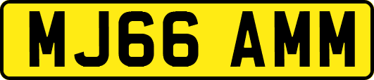 MJ66AMM