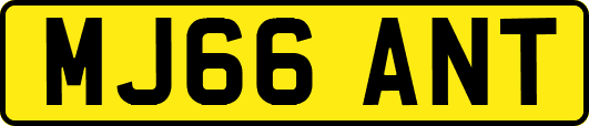 MJ66ANT