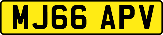 MJ66APV