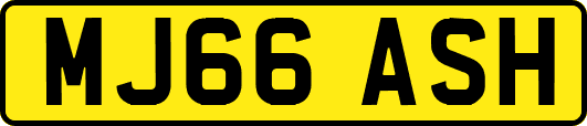 MJ66ASH