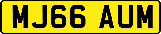 MJ66AUM